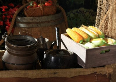 Market Theme - Sydney Prop Specialists