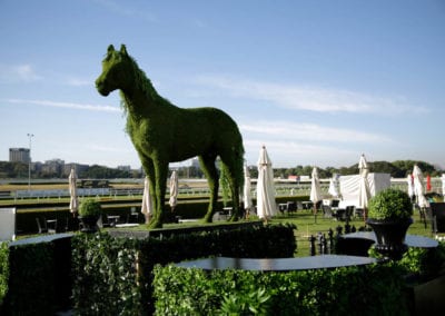 Melbourne Cup Theme - Sydney Prop Specialists