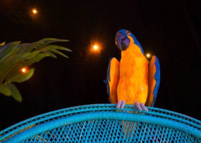 Miami Beach Theme - Sydney Prop Specialists