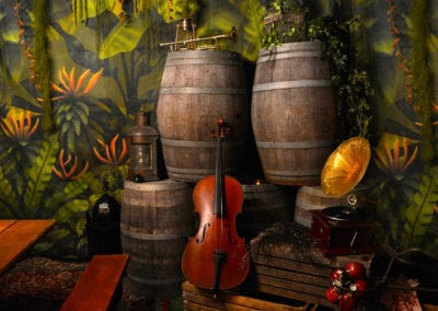 Peter Pan Theme - Sydney Prop Specialists