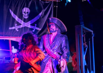 Peter Pan Theme - Sydney Prop Specialists