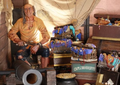 Peter Pan Theme - Sydney Prop Specialists