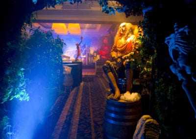 Peter Pan Theme - Sydney Prop Specialists