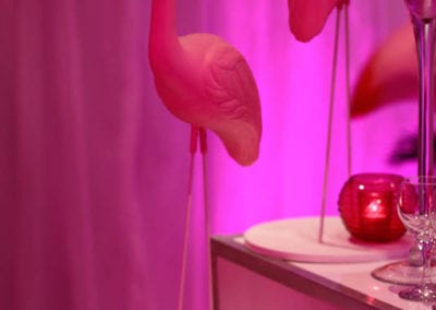 Pink Flamingo Theme - Sydney Prop Specialists