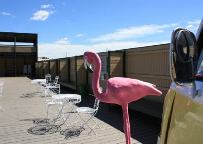 Pool Party Theme - Sydney Prop Specialists