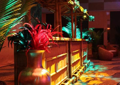 Rio Carnival Theme - Sydney Prop Specialists