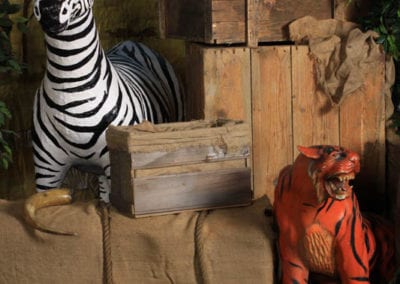 Safari Theme - Sydney Prop Specialists