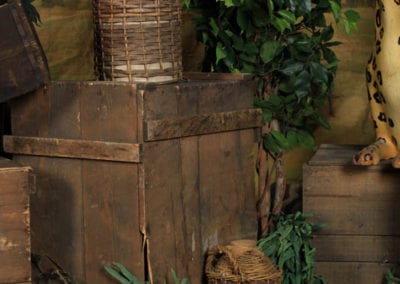 Safari Theme - Sydney Prop Specialists