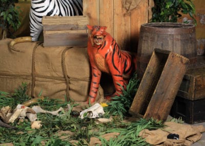 Safari Theme - Sydney Prop Specialists