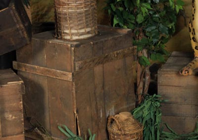 Safari Theme - Sydney Prop Specialists