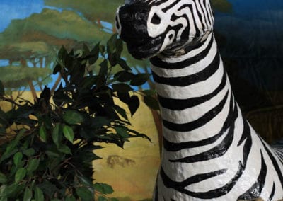 Safari Theme - Sydney Prop Specialists