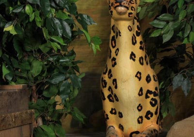Safari Theme - Sydney Prop Specialists