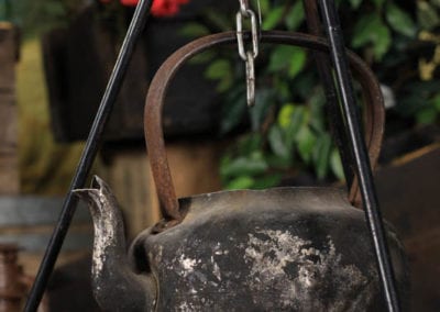 Safari Theme - Sydney Prop Specialists