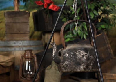 Safari Theme - Sydney Prop Specialists