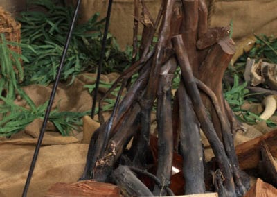 Safari Theme - Sydney Prop Specialists