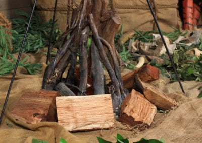 Safari Theme - Sydney Prop Specialists