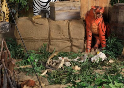 Safari Theme - Sydney Prop Specialists