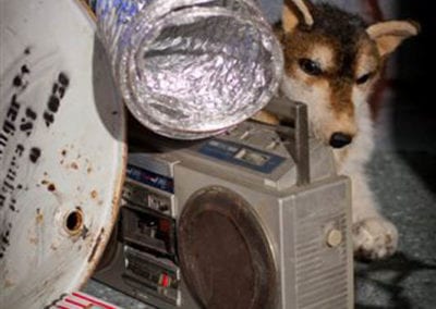 Street Theme - Sydney Prop Specialists