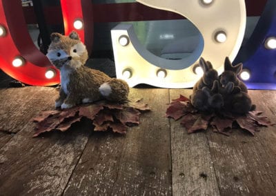 USA Theme - Sydney Prop Specialists