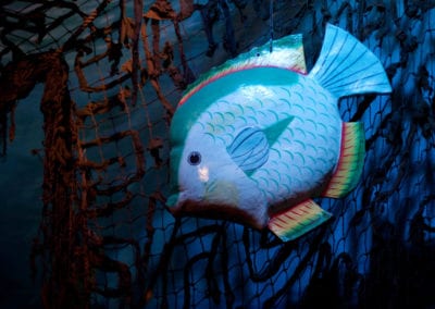 Underwater Theme - Sydney Prop Specialists