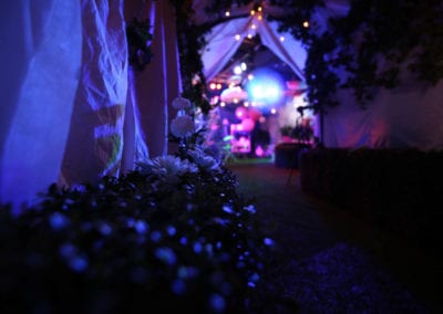 Up Up and Away Theme - Sydney Prop Specialists