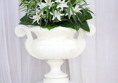 White Theme - Sydney Prop Specialists