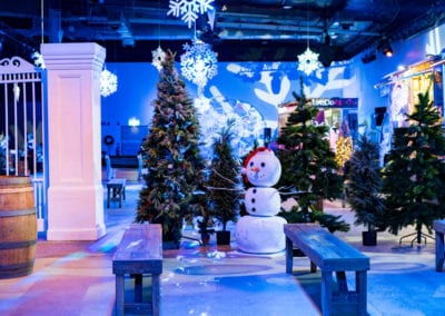 Winter Wonderland Theme - Sydney Prop Specialists