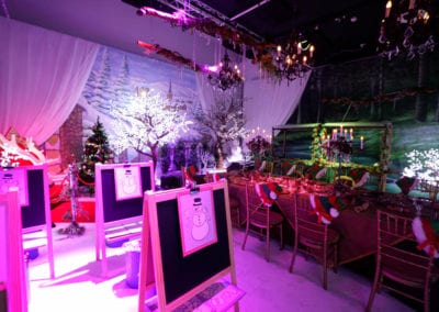 Winter Wonderland Theme - Sydney Prop Specialists