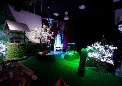 Winter Wonderland Theme - Sydney Prop Specialists