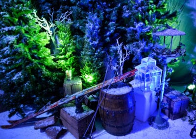 Winter Wonderland Theme - Sydney Prop Specialists