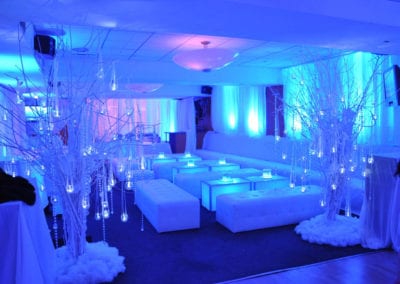 Winter Wonderland Theme - Sydney Prop Specialists