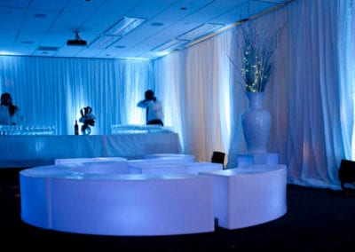 Winter Wonderland Theme - Sydney Prop Specialists