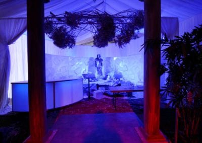 Ice Age Theme - Sydney Prop Specialists