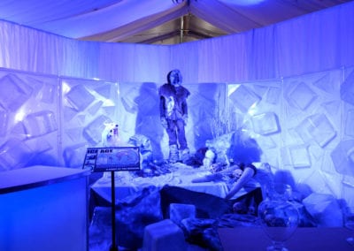 Ice Age Theme - Sydney Prop Specialists