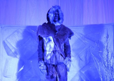 Ice Age Theme - Sydney Prop Specialists