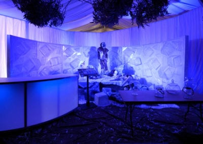 Ice Age Theme - Sydney Prop Specialists