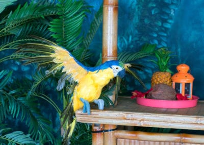 The Love Boat Theme - Sydney Prop Specialists