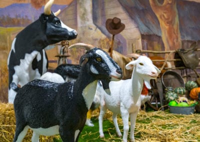 Animals - Sydney Prop Specialists