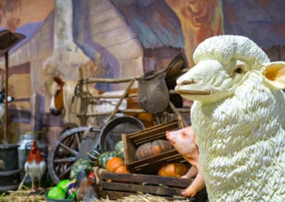 Animals - Sydney Prop Specialists