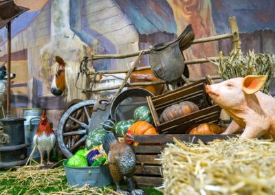 Animals - Sydney Prop Specialists