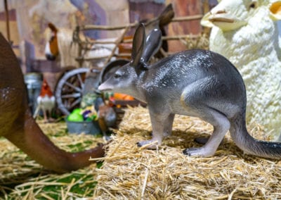 Animals - Sydney Prop Specialists