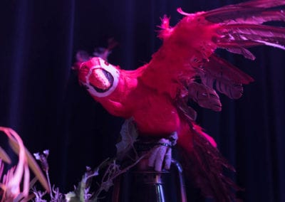 Animals - Sydney Prop Specialists