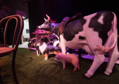 Animals - Sydney Prop Specialists