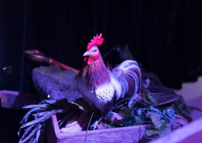 Animals - Sydney Prop Specialists