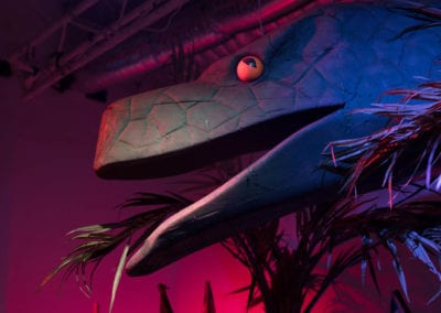 Animals - Sydney Prop Specialists