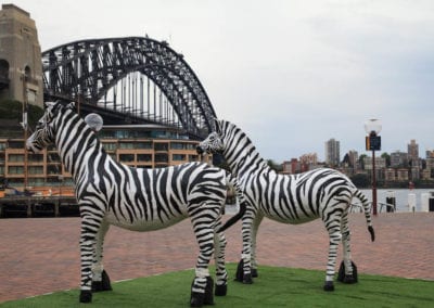 Animals - Sydney Prop Specialists