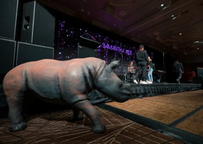 Animals - Sydney Prop Specialists