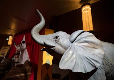 Animals - Sydney Prop Specialists