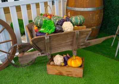 Food Service Carts - Sydney Prop Specialists