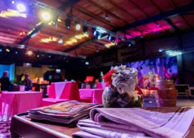 Household Props - Sydney Prop Specialists